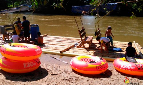 Tortugas 013