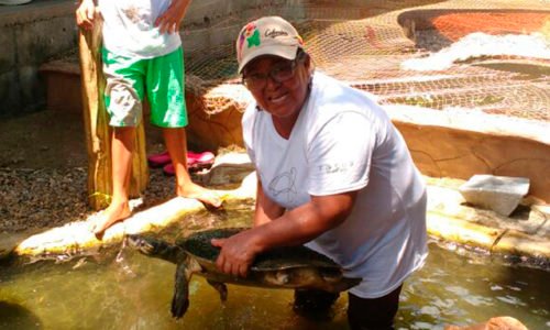 Tortugas 018