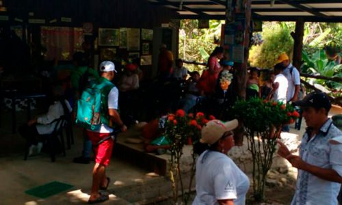 Tortugas 019